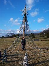 Mega Tree = Daylight